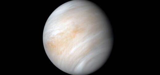 Venus: One More Perspective