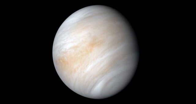 Venus: One More Perspective